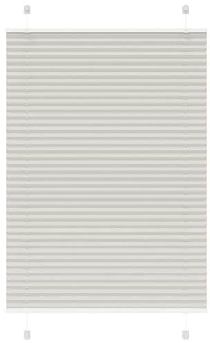 vidaXL Plissee Hellgrau 100x100 cm Stoffbreite 99,4 cm Polyester, Faltrollo, Klemmfix, Plisseerollo, Jalousie, Rollo, Plisseerollo für Fenster