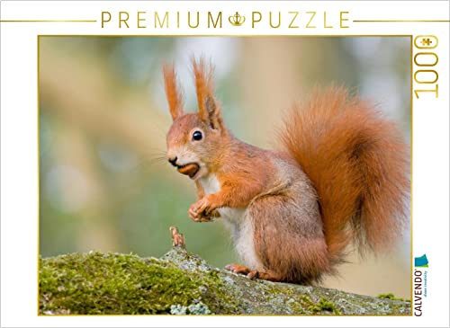 CALVENDO Puzzle Eichhörnchen mit Haselnuss im Maul | 1000 Teile Lege-Größe 64 x 48 cm Foto-Puzzle für glückliche Stunden