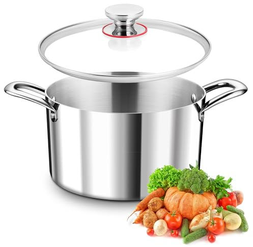 TEAMFAR Pentola a 3 strati in acciaio Edea, 22 cm, a induzione con coperchio in vetro, 4,75 l, per tutti i piani cottura, in acciaio inox lucido e non rivestito