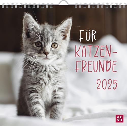 Wandkalender 2025: Für Katzenfreunde: Katzenkalender 2025 mit niedlichen Katzenfotos und Zitaten für Katzenliebhaber. Monatskalender zum Aufhängen