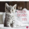 Wandkalender 2025: Für Katzenfreunde: Katzenkalender 2025 mit niedlichen Katzenfotos und Zitaten für Katzenliebhaber. Monatskalender zum Aufhängen