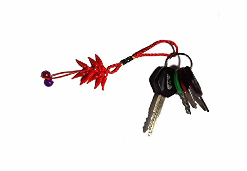 BLUSUPERSHOP 5 Schlüsselanhänger rote Hörner Amulett Fotorahmen Klangkugeln Glücksbringer Neapolitanisch St. Gregor Armenisch Horn Lucky Charm