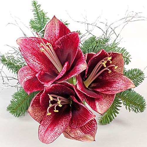 20 Servietten Christrose/Blumen/Natur/Winter/Weihnachten 33x33cm