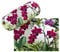 VON LILIENFELD Brillenetui Orchideen Blumen Motiv Etui Brille Mikrofaser Brillenputztuch Brillenbox Stabiles Hardcase Set mit Stoff bezogen