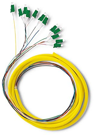 Qoltec 12 x Pigtail Fiber Optic LC/APC | Singlemode | G652D | 2m
