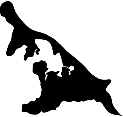 Samunshi® Usedom Aufkleber Insel 10 x 9,5cm schwarz
