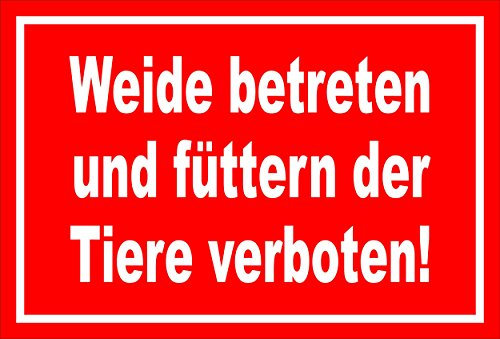 Melis-Folienwerkstatt Schild - Weide betreten - 30x20cm | Bohrlöcher | 3mm Hartschaum – S00039-011-D - 20 Varianten