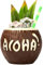 BANGHA Totem à Cocktail Tasse de céramique de 400 ML Tasse de Noix de Coco et Tasse de cocotit Collections Tasse de décoration Verre à Cocktail