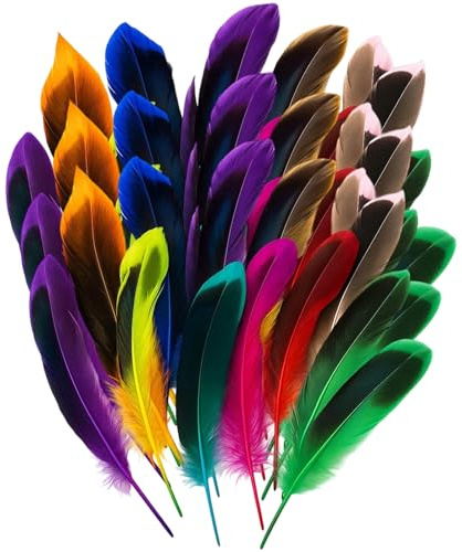 PangWuu 150 Bunte Federn Zum Basteln, Feder Deko für DIY Handwerk, Traumfänger, Hochzeit, Weihnachtsdekoration, Hutdekoration, 10-15cm