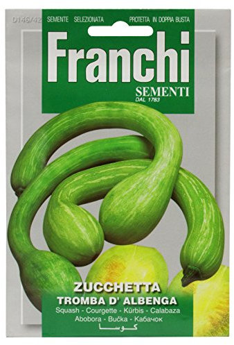 Franchi Tromba d´Albenga Kürbissamen, italienische Aufschrift