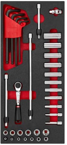 Facom Foam Module with 12-Point Metric STECKSCHLÜSSELN1/4 Inch Bits Purple Keys – Pack of 1, MODM. RL2