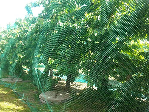 Vogelschutznetz 5 x 10 m Laubschutznetz Gartennetz Teichnetz Obstbaumnetz