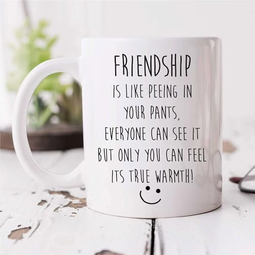 60 Second Makeover Limited Friendship is Like Peeing in Your Pants Mug Best Friend Funny Present Friendship Definition Best Friend Birthday Gifts Bestfriend Bestie BFF