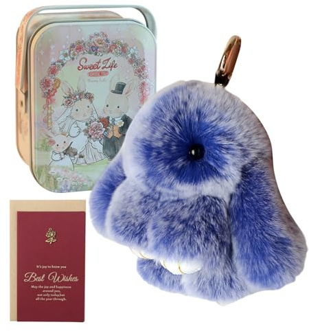 VALINK Porte-clés lapin mignon et moelleux, porte-clés avec boîte en fer et carte cadeau, porte-clés pour femme, ensemble de porte-clés lapin crème bleu roi