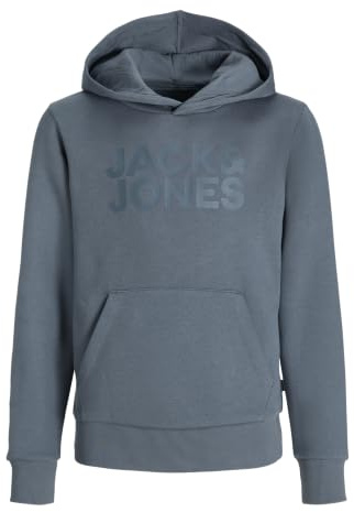 JACK & JONES Men's Jjecorp Logo Sweat Hood Noos Jnr, stormy weather, 176