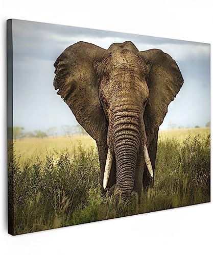 MuchoWow© Impression sur Toile Peinture 40x30 cm Tableau Mural Decoration Salon Reproductions de Tableaux Murale Moderne Eléphant - Nature - Herbe - Animaux - Paysage