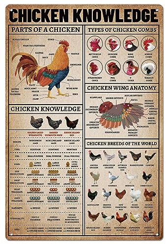 SUPERDANT Blechschild Farm Chicken Knowledges Metallschild Farm Blechgemälde Retro Blechschilder Altmodisches Aluminiumschild Metallschilder Heim Und Küchendekoration 20 x 30 cm