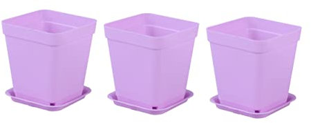 BESPORTBLE 6 Pezzi Piante Grasse Quadrato Viola
