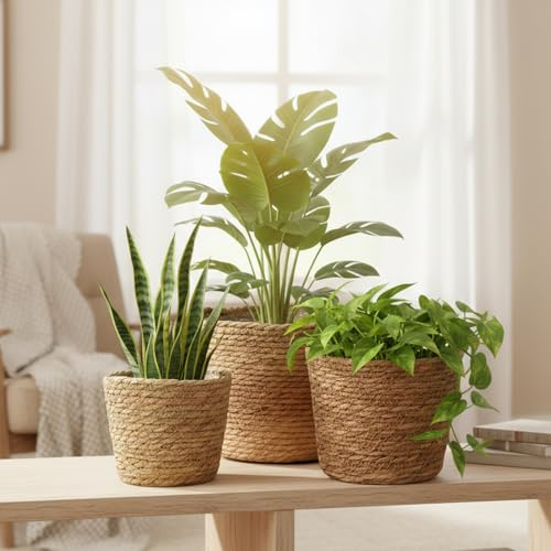 Pot de fleurs en osier 3 pièces, panier de plantes en jonc mer tissé à la main avec doublure en plastique pour plantes d'intérieur, rangement décoratif et housse jardinière pour la maison, la c