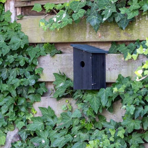 Gifts4Nature Nistkasten – Nistkasten für Vögel für draußen wetterfest – Holz FSC® 100% Grau/Schwarz – Meisen Spatzen – Durchdachte Drainage, seitliche Klappen zur Reinigung