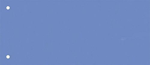Brunnen 106604030 Trennstreifen (10,5 x 24 cm quer, aus Karton, gelocht, 100 Trennstreifen) blau