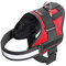 Karlie Xtreme No Limit Geschirr B: 50 mm Br um: 80 - 100 cm XL rot
