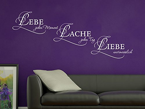 Klebeheld® Wandtattoo Lebe jeden Moment Lache jeden Tag Liebe unendlich (Farbe hellgrau/Größe 80x31cm)