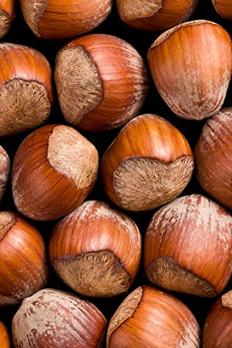 Pianta di Nocciolo Albero di Nocciolo diverse varietà Età 2 anni Pianta da frutto Pianta di Nocciole da mangiare pianta a esterno albero vero di Nocciolo venduto da eGarden.store (Comune)