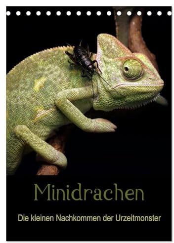 Minidrachen - Die kleinen Nachkommen der Urzeitmonster (Tischkalender 2026 DIN A5 hoch), CALVENDO Monatskalender: Die kleinen Verwandten der ... Farbenvielfalt (CALVENDO Tiere)