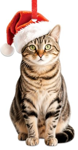 BIZIBAFF Tabby Cat Christmas Ornament - 2D Realistic Cats Ornaments for Christmas Tree - Acrylic Lifelike Kitten Ornament Decor, Gifts for Cat Lovers Women & Men Pet Memorial Keepsake