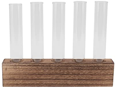 Huairdum Pflanzenvermehrungsstation, Pflanzenterrarium aus Glas, Mini-Reagenzglas-Display mit Holzständer, Ideal für Heimdekoration und Usambaraveilchen (5 Röhren)