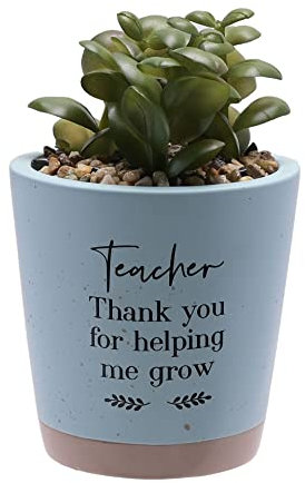 Widdop and Co. Teacher Thank You Faux Plant Pot