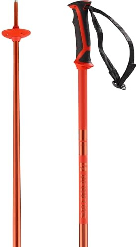 Salomon Arctic Unisex Poles Ski Hiking 115cm