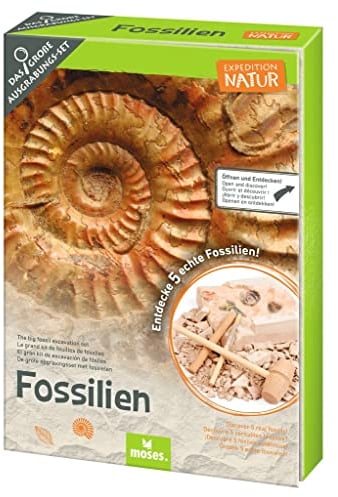 Moses. Expedition Natur Das große Fossilien-Ausgrabungs-Set, Gipsblock mit 5 echten Fossilien, Ausgrabungsset inklusive Ausgrabungswerkzeug, Lupe und Aufbewahrungsbeutel