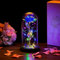 Die Schöne Und Das Biest Rose In Glaskuppel LED-Lichter Kristallrose Blumen Geschenk Zum Geburtstag Jubiläum Valentinstag Hochzeit Freundin Frau Frauen (Blau)