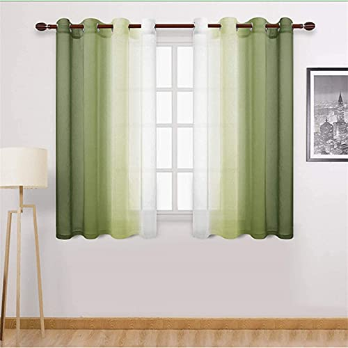 SWECOMZE 2 Stück Gardinen Vertikal Farbverlauf Transparent mit Ösen,Voile Vorhänge,Lichtdurchlässig Einfarbig für Fenster Wohnzimmer Schlafzimmer Moderne und Elegante Gardine (Grün,W1.32m x H1.6 m)