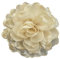 F Fityle Blumenbrosche aus Satin, Kamelie, Ansteckblume, Anstecker, Blumenhaarspange, Anstecknadel für Tanzkleid, Anzug, Party, Kleidung, Zubehör, Beige