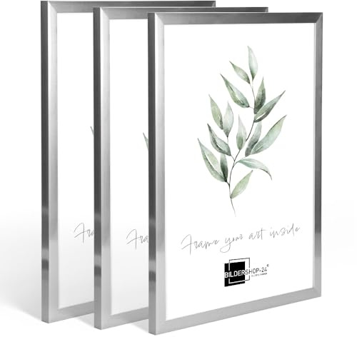 3X Kunststoffrahmen modern Bilderrahmen Fotorahmen gradlinig Silber 24 X 30 cm