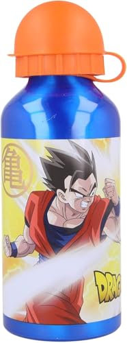 arlis Gourde Aluminium Dragon Ball Z - Gourde aluminium 400 ML (Gourde Dragon Ball Z en Aluminium)