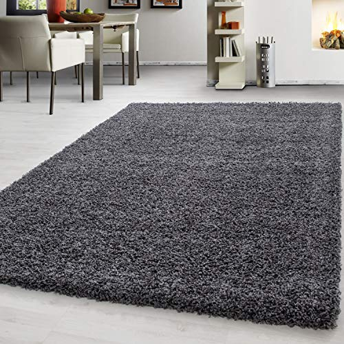Teppium Moderner Hochflor Teppich Wohnzimmer 120 x 170 cm Grau - Shaggy Flauschiger Teppich, Extra Weich, Pflegeleicht und Einfarbig - für Schlafzimmer, Küche und Esszimmer