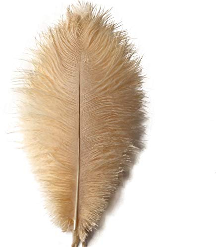 Sowder 20pcs Natural 10-12inch(25-30cm) Ostrich Feathers Plume for Wedding Centerpieces Home Decoration(Champagne)