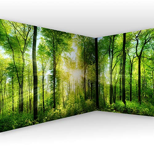 murando - selbstklebende Eckfototapete Wald 539x250cm Foto Tapete Tapetenfolie Möbelfolie Wandverkleidung Motivtapeten Bildtapete Wohnzimmer 3d Effekt Landschaft Natur grün Baum c-A-0058-a-b
