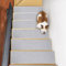 JHLGRE Tappeti per Scale Interne, 20cm*76cm 15pcs, Coprigradini per Scale, Tappetini per Scale in Legno, Tappetino Antiscivolo e Fonoassorbente con Retro Adesivo, Grigio