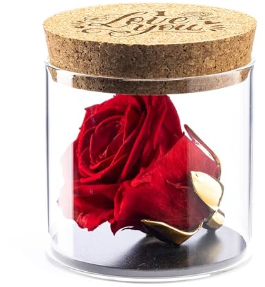 Amoroses Bijou - Ewige stabilisierte Rose mit 24 Karat vergoldetem Kelch im Glasgefäß | Geschenkidee