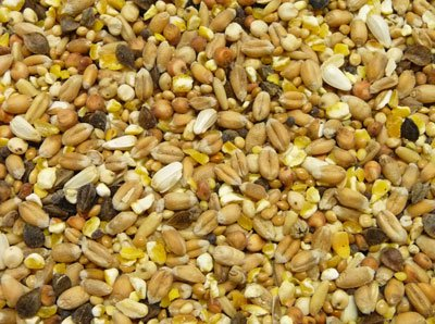 Witte Molen Turteltauben/Fasan/Wachtel, 3 kg