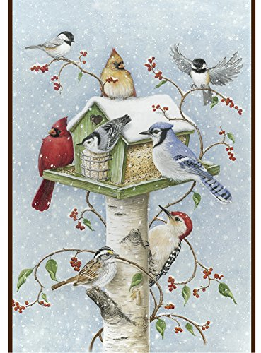 Toland Home 1010097 Gartenvögel Wintervögel, 71,1 x 101,6 cm, dekorativer Schneekugel, Kardinal Jay