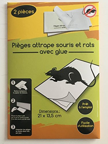 Lot de 2 pièges attrape souris et rats avec glue : Efficaces et durables. Prêt à l'emploi. Facile d'utilisation.