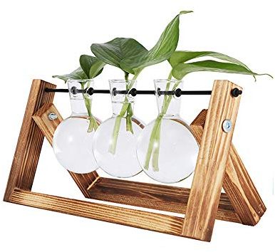 Terrario Abierto de sobremesa para Plantas de Interior, con Recipiente de con Forma de Bulbo, Soporte de Madera Maciza Envejecida y Varilla de Metal giratoria. Terrario Abierto para Cultivo