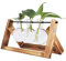 Terrario Abierto de sobremesa para Plantas de Interior, con Recipiente de con Forma de Bulbo, Soporte de Madera Maciza Envejecida y Varilla de Metal giratoria. Terrario Abierto para Cultivo