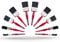 ZYBUX - Professional Paint Brushes with No Loss of Bristle Paintbrush Heads 5 Piece Pack Set, Studio Craft & Technique (10 Piece Pack)